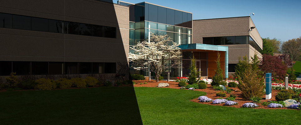 Westborough Landscapers